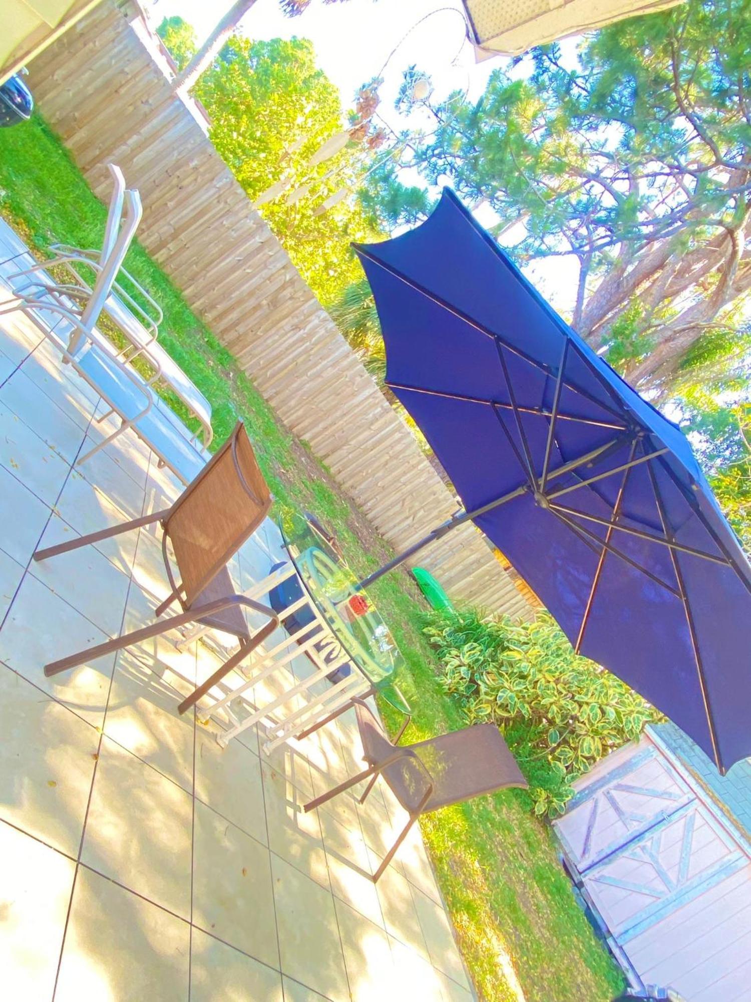 Cozy Studio Only 10 Minutes By Car Of Siesta Key Sarasota Luaran gambar